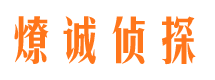 镇沅侦探